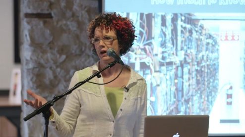 Laurie Frick Data Artist