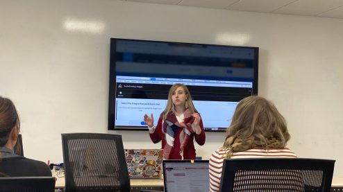 Anna conducting an Accessibility Audit